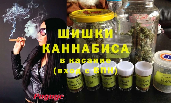 спайс Алексин