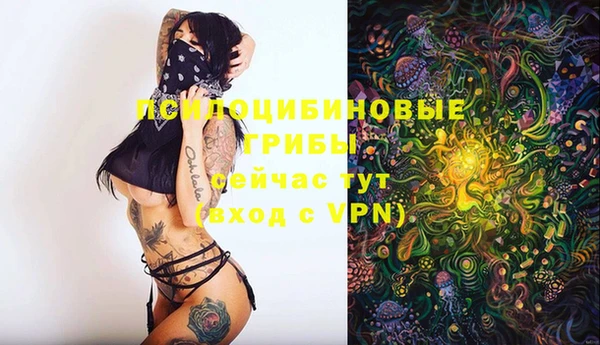 спайс Алексин