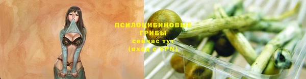 спайс Алексин